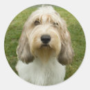 Search for griffon stickers Pbgv