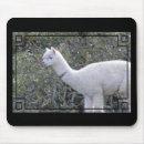 Search for frames mousepads Square