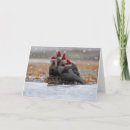 Search for otter christmas cards Cute