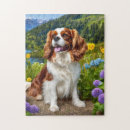 Search for cavalier king charles spaniel puzzles Puppy