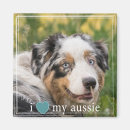 Search for aussie magnets Animal