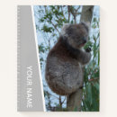 Search for koala notebooks Animal