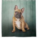 Search for french bulldog shower curtains Animals