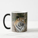 Search for bengal tiger mugs Wildlife