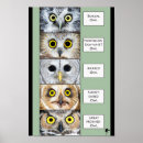 Search for owl lovers posters Birds