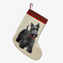 Search for scottish christmas stockings Cute