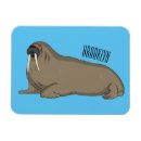 Search for walrus magnets Tusks