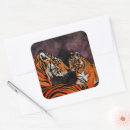 Search for tiger cub stickers Big cat