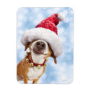 Search for christmas jokes magnets Dog
