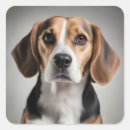 Search for cute beagle stickers Pets