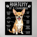 Search for funny chihuahua posters Pet