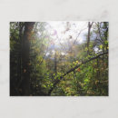 Search for cascade photography Scenic