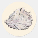 Search for oysters stickers Elegant