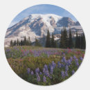 Search for mount rainier national park stickers Landscape