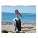 Search for pelican calendars Wildlife