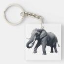 Search for tusk key rings Mammal