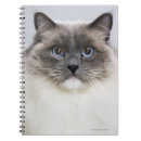 Search for ragdoll cat notebooks Cats