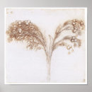 Search for plant drawing posters Plants