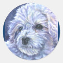 Search for frise stickers Puppies