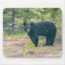 Search for mammals mousepads Black