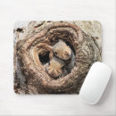 Search for tree trunk mousepads Woodland