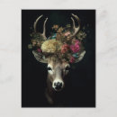 Search for pink deer postcards Floral
