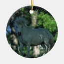 Search for miniature horse christmas tree decorations Standing