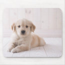 Search for flooring mousepads Baby animals