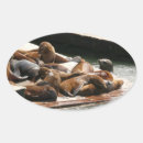 Search for sea lion stickers Nature