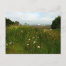 Search for redwood national park postcards Landscape