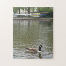 Search for duck puzzles Water