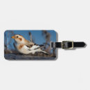 Search for snow white luggage tags Nature