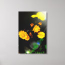 Search for sunshine canvas prints Flowers