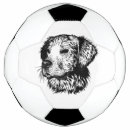 Search for simple dog drawing Animal