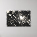 Search for black oak tree art Nature