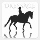 Search for dressage stickers For her