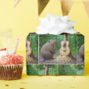 Search for beaver wrapping paper Wildlife