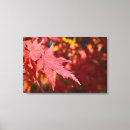 Search for maple leaf art Fall season