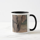 Search for african desert mugs Nature