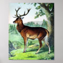 Search for vintage reindeer art Winter