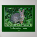 Search for bunny quote posters Cute