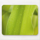 Search for wet mousepads Leaf