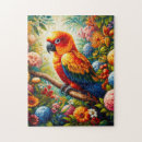 Search for sun conures Tropical