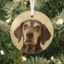 Search for german shorthaired pointer christmas tree decorations Pet