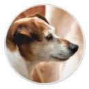 Search for dogs knobs and pulls Cute