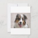 Search for australian shepherd thank you cards Aussie
