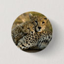 Search for cheetahs badges Cute