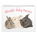 Search for cuddly office supplies Animal