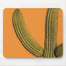 Search for thorns electronics Cactus