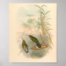 Search for vintage bird art Flowers
